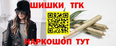 амф Кингисепп