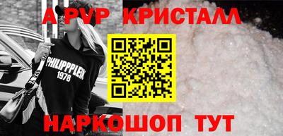 амф Кингисепп