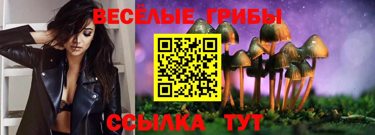 Псилоцибиновые грибы Cubensis  Вход с VPN  Кириши 