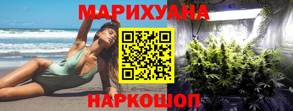 Бошки Шишки конопля  Бошки Шишки Bruce Banner  Кириши  Вход с VPN 